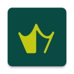 essay king - ielts writing android application logo